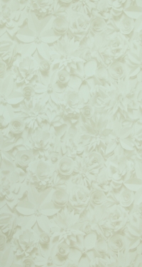 Обои BN International Enigma II 17343