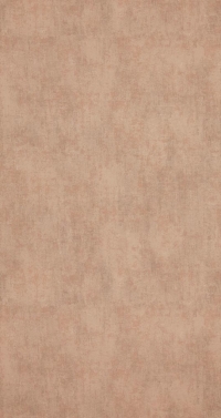 Обои BN International Indian Summer 218534