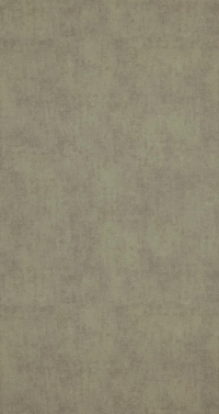 Обои BN International Indian Summer 218544