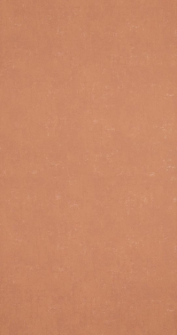 Обои BN International Indian Summer 218545