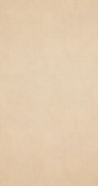 Обои BN International Indian Summer 218546