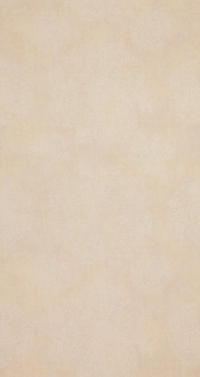 Обои BN International Indian Summer 218557