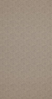 Обои BN International Indian Summer 218574