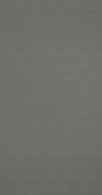 Обои BN International Indian Summer 218575