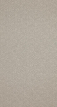 Обои BN International Indian Summer 218576