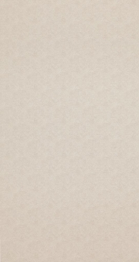 Обои BN International Indian Summer 218577