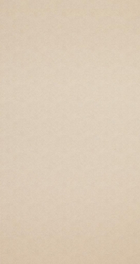 Обои BN International Indian Summer 218580