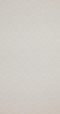 Обои BN International Indian Summer 218581