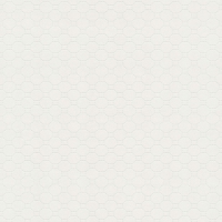 Обои BN International Finesse 219726