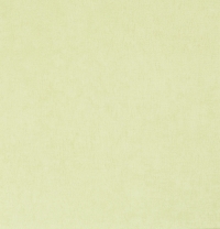 Обои BN International 50 Shades of colour 48466