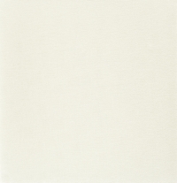 Обои BN International 50 Shades of colour 48470