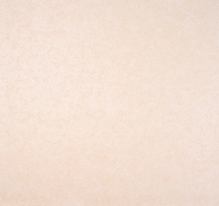 Обои Father & Sons Chateau Quarz 24736