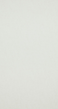 Обои BN International Van Gogh 17116