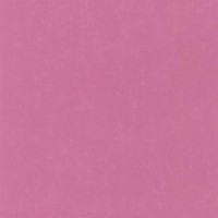 Обои Lutece Les Petits Curieux IH11163323