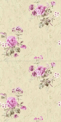 Обои Paravox Nais NA2213