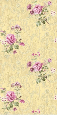 Обои Paravox Nais NA2217