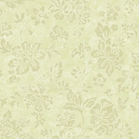 Обои Paravox Rio Verde RV1434