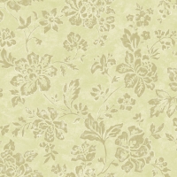 Обои Paravox Rio Verde RV1436