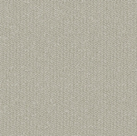 Обои Loymina Shelter Tex5 001